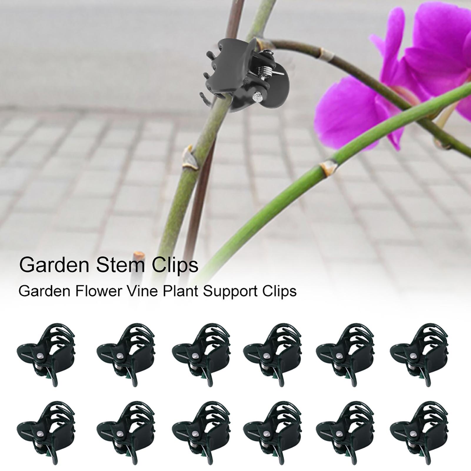 100pcs Mini Plant Clips Garden - Florist Supply Bulk recension och pris