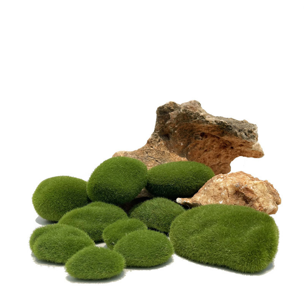 Artificial Fake Moss Rock Eter - Preserved Moss Sheet recension och pris